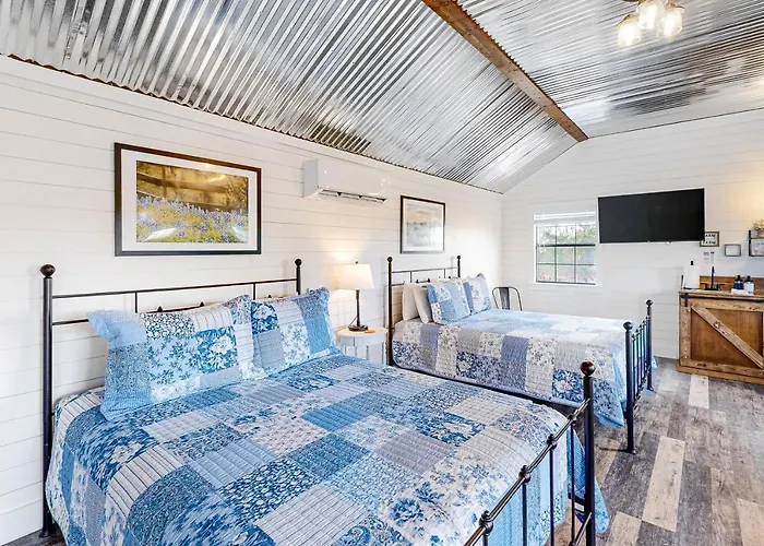 Bonny Bluebonnets Cottage 2 Fredericksburg