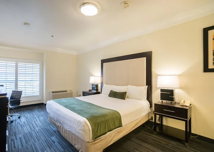 Arena Hotel San Jose
