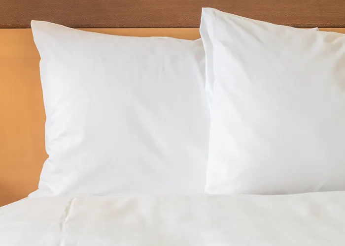 Holiday Inn Express & Suites Albany