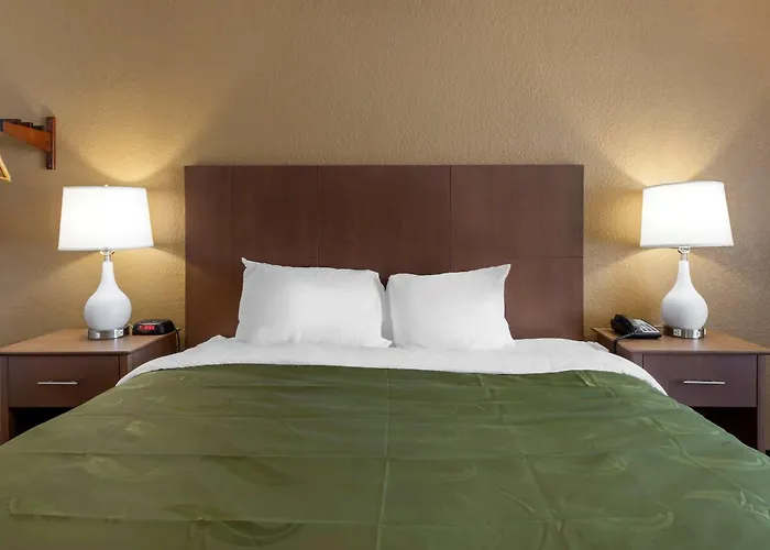 Quality Inn Saint Petersburg North-Tampa Bay