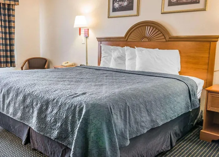 Quality Inn Kalamazoo Near Wings Stadium