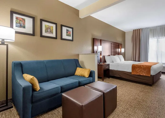 Comfort Suites Auburn Near I-69