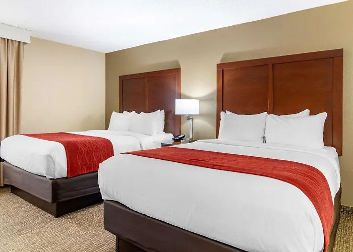 Comfort Inn & Suites Macon North I-75