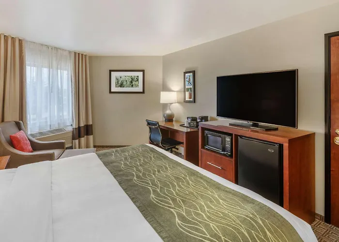 Comfort Inn Missoula Near University