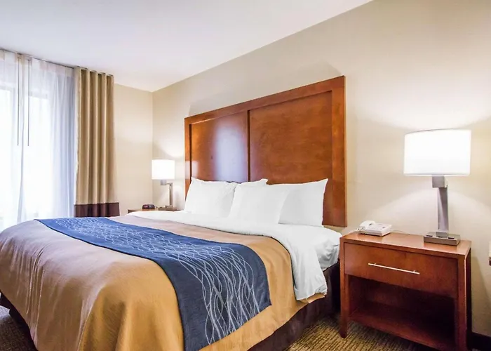Comfort Inn & Suites Deadwood