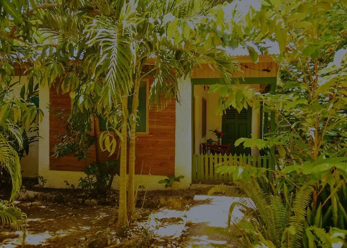 Lighthouse Inn 2 Negril