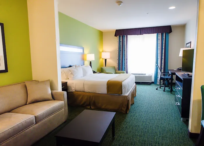 Holiday Inn Express Hotel & Suites Temple-Medical Center Area By Ihg