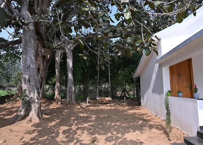 Bandhavgarh National Park Hotels