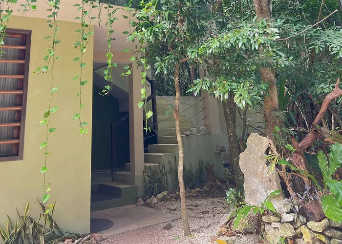 Puerto Morelos Hotels