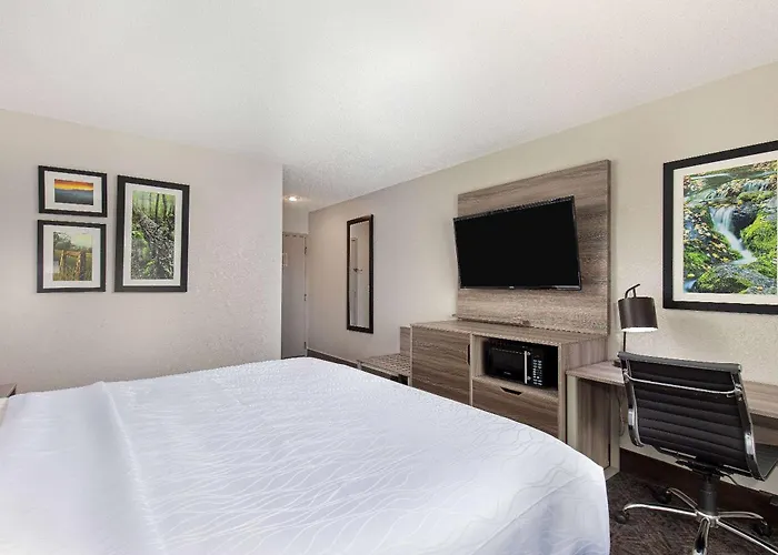 La Quinta Inn By Wyndham Pigeon Forge-Dollywood