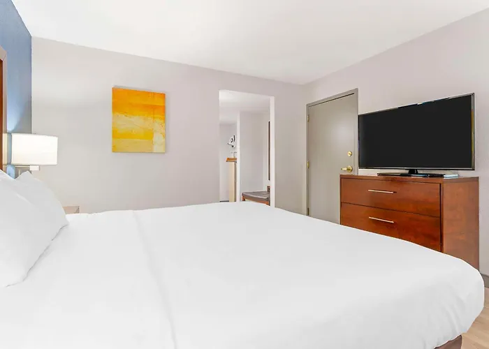 Comfort Inn Near Six Flags St Louis Pacific