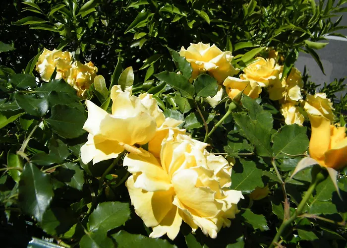 Praiano Hotels