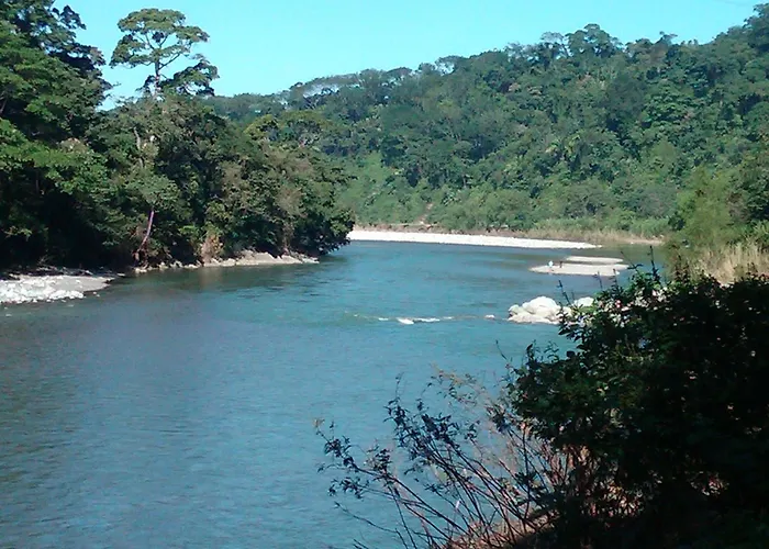 La Delphina Bed And Breakfast Bar And Grill La Ceiba