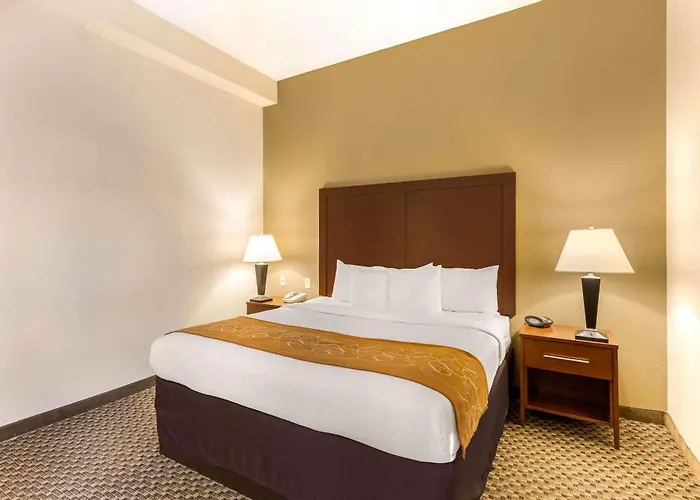 Comfort Suites Elkridge Columbia Gateway