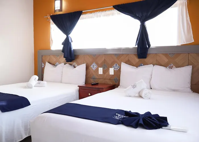 Los Ayala Hotels