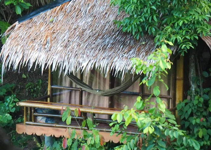 Bukit Lawang Hotels