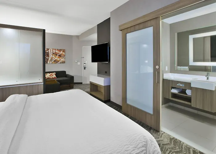 Springhill Suites By Marriott Chattanooga North/Ooltewah