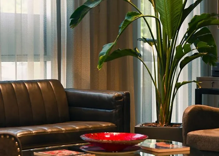 Art House Hotel Santa Rosa