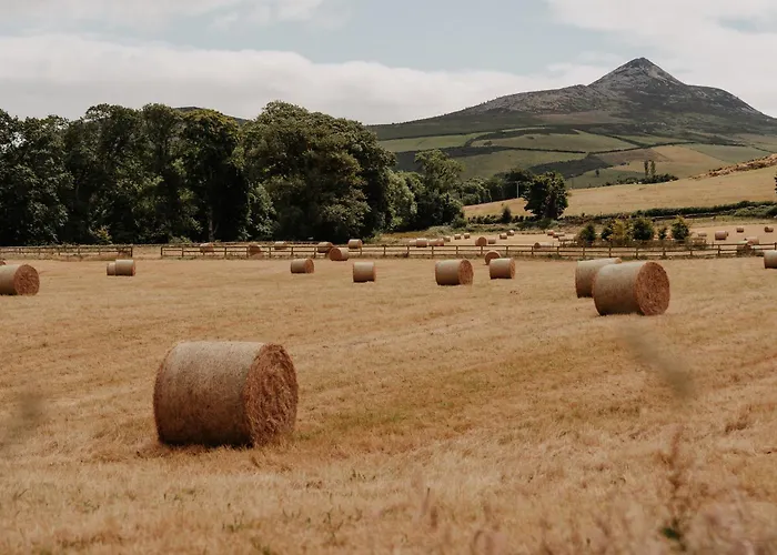 Wicklow Hotels