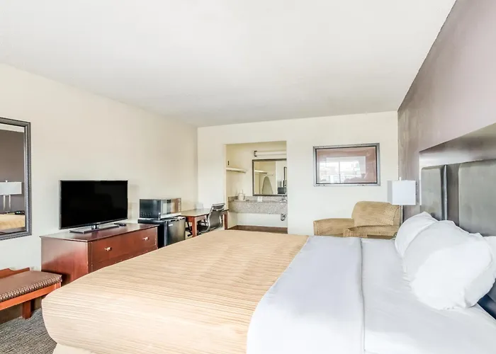 Oyo Hotel Alexandria La- Hwy 165