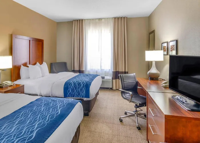Comfort Inn & Suites Lynchburg Airport - University Area