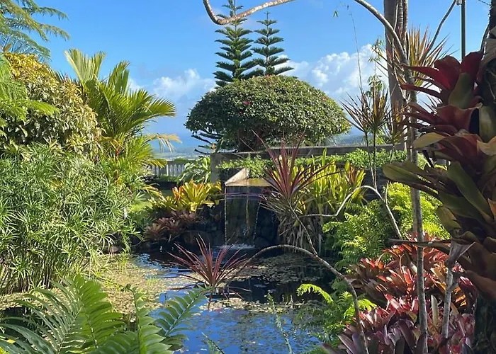 El Yunque Rainforest Inn Rio Grande
