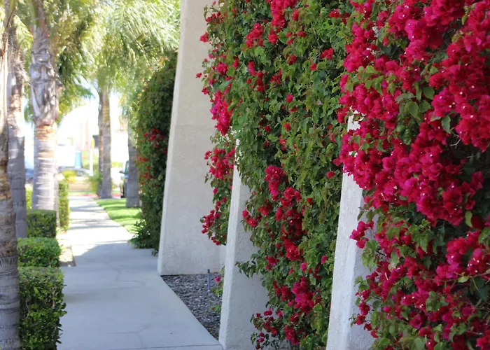 O'Cairns Inn And Suites Lompoc