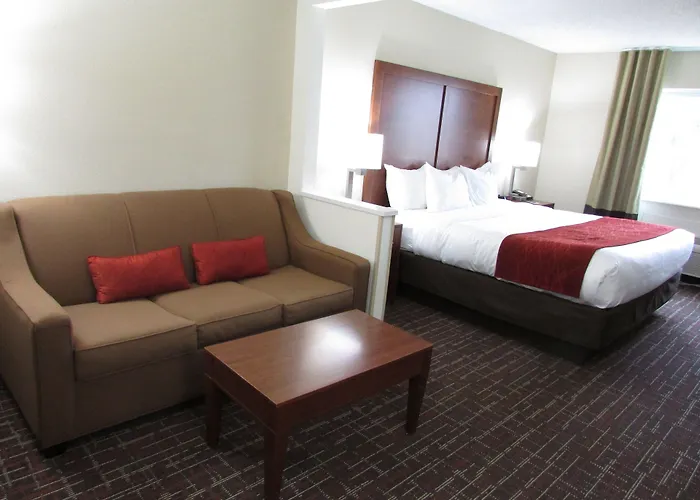 Comfort Inn Wichita Falls Near University