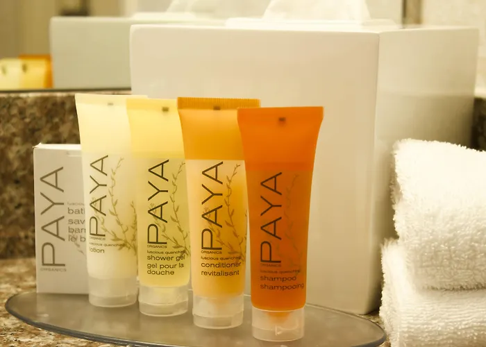 Delta Hotels By Marriott Santa Clara Silicon Valley