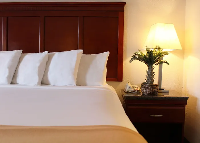 Rodeway Inn Santa Clara El Camino Real