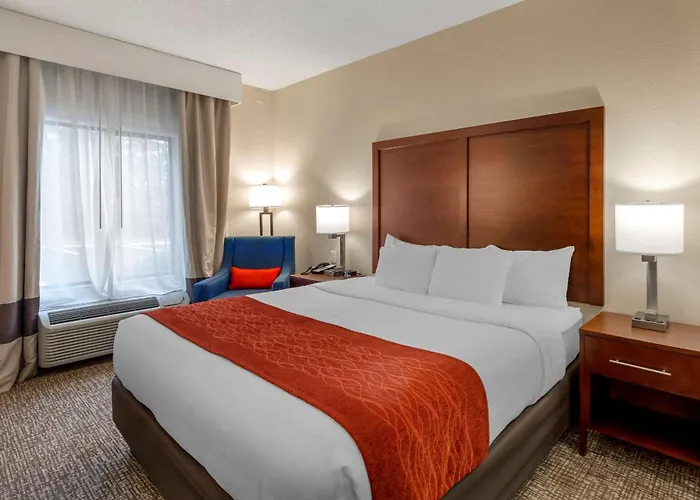 Comfort Inn & Suites Canton Riverstone Area