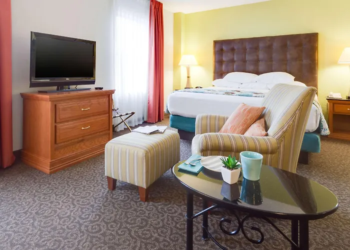 Holiday Inn - Mcallen - Medical Center Area By Ihg