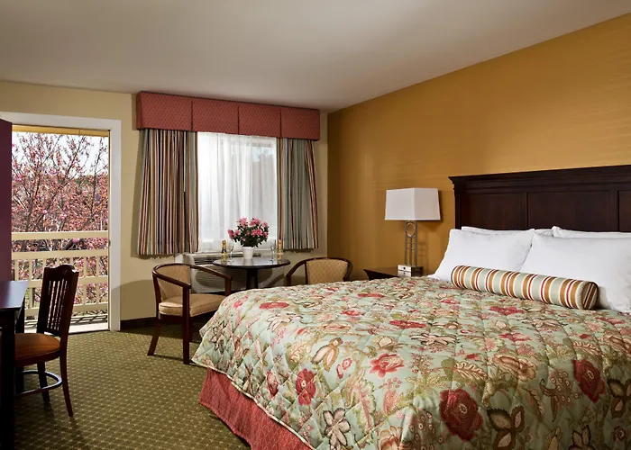 Wellfleet Motel & Lodge