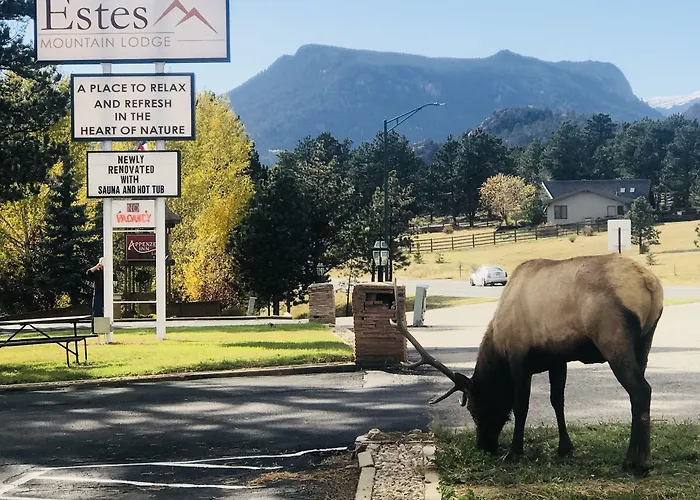 Estes Mountain Inn Estes Park