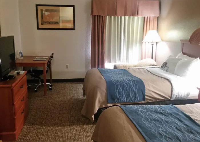 Comfort Inn Downtown - University Area Kalamazoo