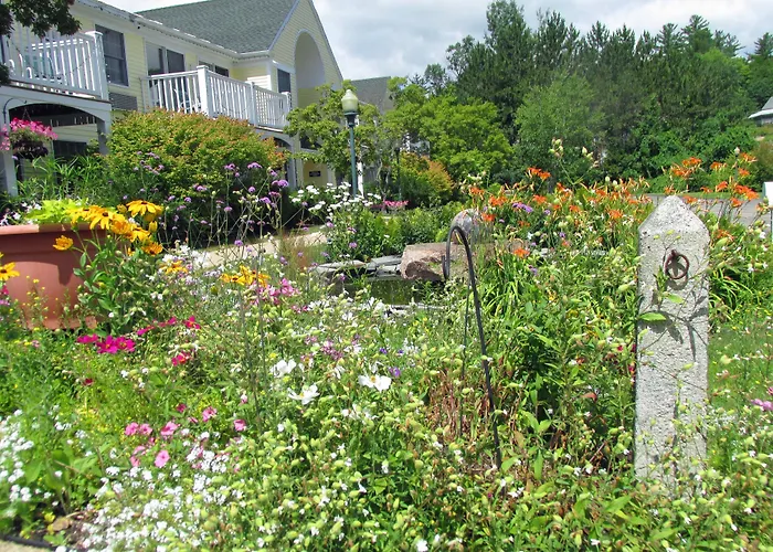 The Lodge At Jackson Village