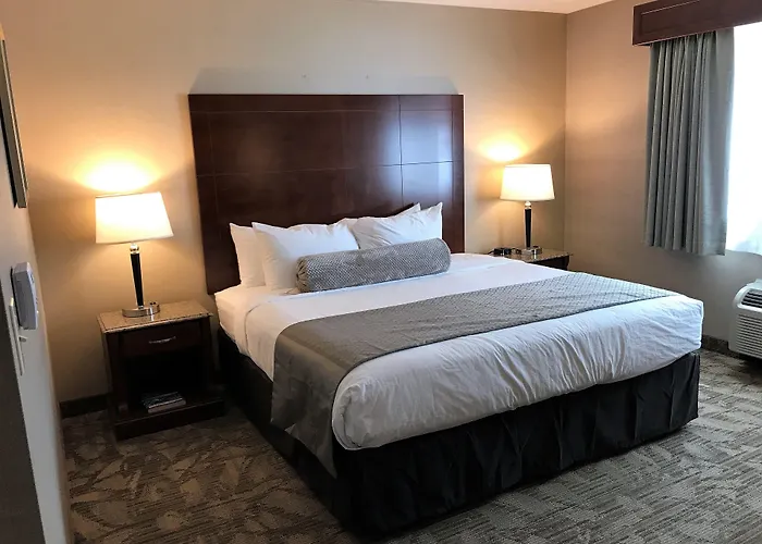 Medallion Inn And Suites Arlington
