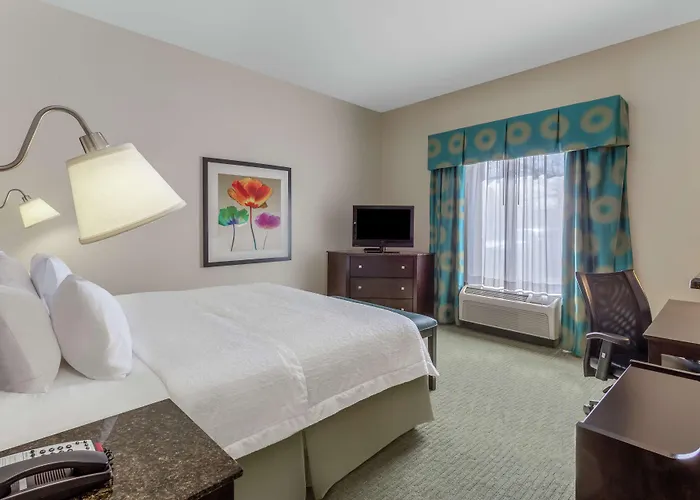 Hampton Inn Richmond - South