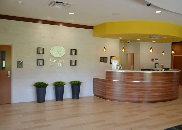 Comfort Suites Bossier City - Shreveport East
