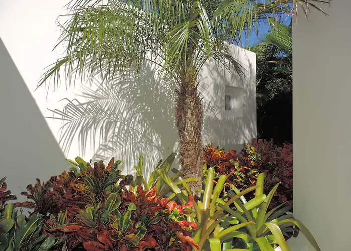 Gustavia Hotels