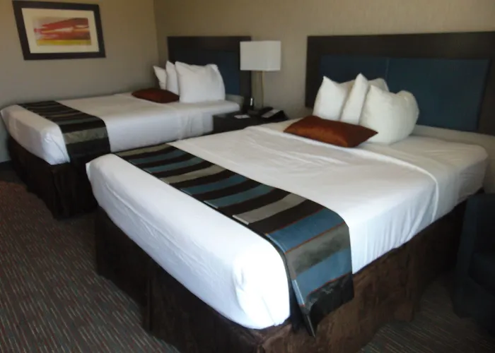 Wingate By Wyndham Lubbock Hotel