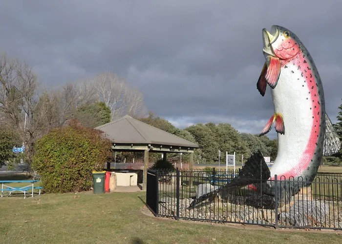Adaminaby Hotels