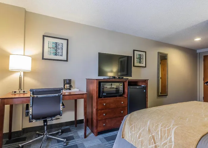 Comfort Inn Sw Omaha I-80