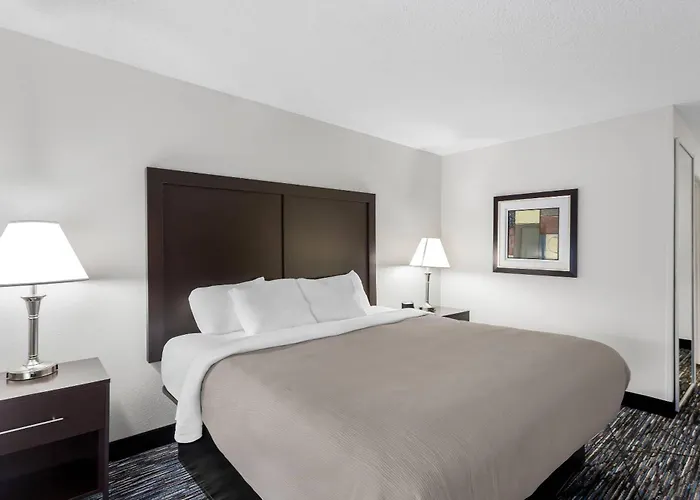 Quality Inn & Suites Niles