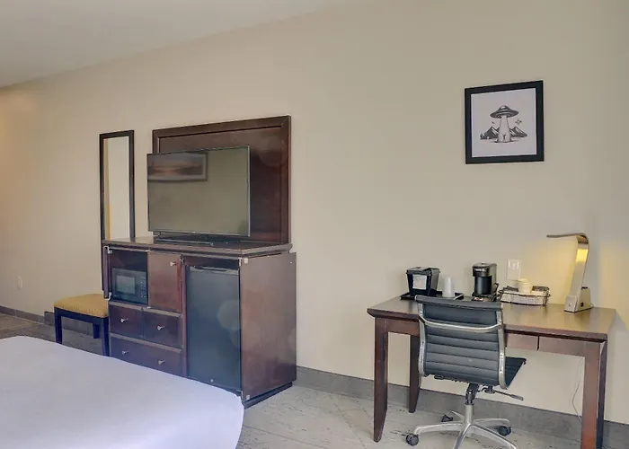 Quality Inn & Suites Roswell North