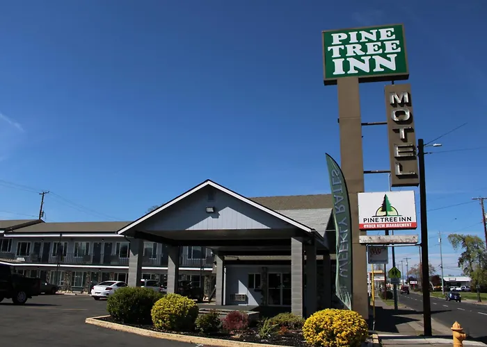 Pine Tree Inn Medford