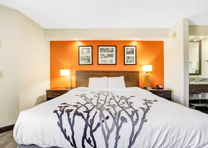 Wingate By Wyndham Leesburg Florida Hotel