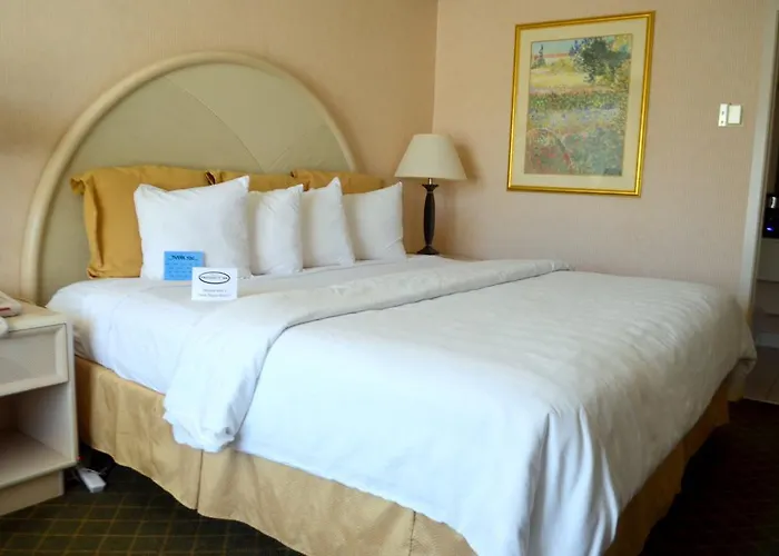 Chapel Hill University Inn