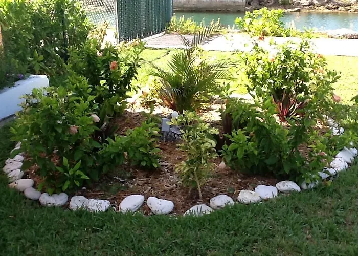 Running Mon Sunrise Resort & Marina Freeport