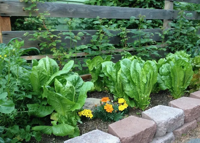 Gardenside Bed And Breakfast Anchorage